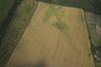 Oblique aerial view centred on the cropmarks of the settlement and the cursus, taken from the SW.