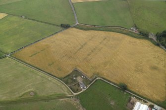 Oblique aerial view centred on the cropmarks of the enclosure, possible settlement and rig, taken from the E.