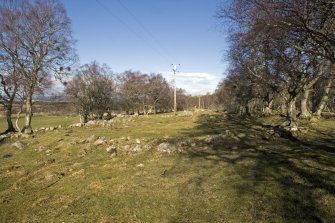 View of the remains of the hut-circle, taken from the SSE.