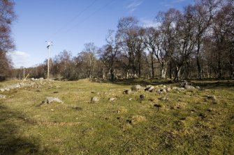 View of the remains of the hut-circle, taken from the S.