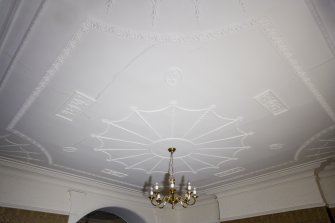 Interior. Restaurant. Ceiling.