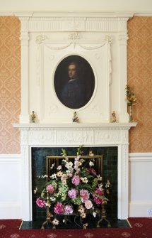 Interior. Adam room. Fireplace.