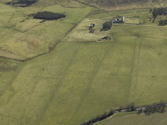 Oblique aerial view centred on the remains of the township centred on a parallel row of grazing sheep, taken from the WNW.