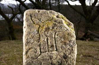 Detail of carving, Dunachton Pictish symbol stone.