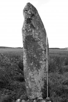 View of stone with scale (B&W)
