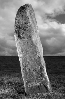 View of face of stone with pictish carvings (B&W)