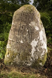 View of stone showing carved pictish figure