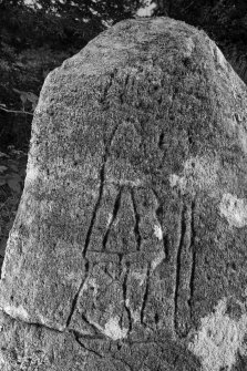 Detail of carved pictish figure B&W)