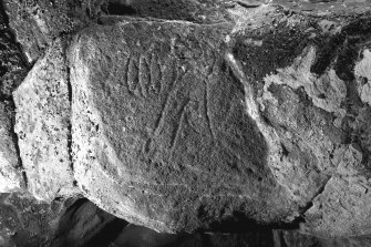 Detail of triple-oval and flower Pictish symbols on ceiling of entrance to Sculptor's Cave, Covesea (B&W)