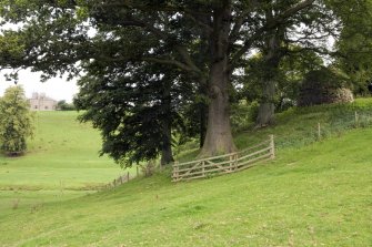 Location view from WSW