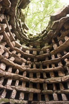 Interior showing nesting boxes and remains of flight hole