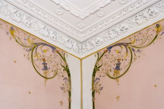 Interior. 1st floor. Drawing room. Cornice and painted decoration. Detail