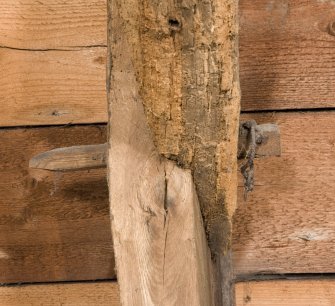 Interior. Attic, detail of pegged wood joint