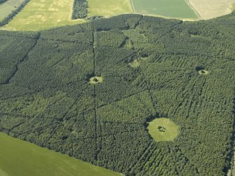 Oblique aerial view of part of the wood, taken from the SE.