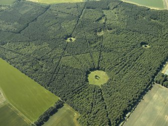 Oblique aerial view of part of the wood, taken from the SE.