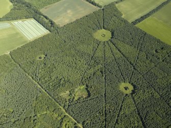 Oblique aerial view of part of the wood, taken from the NW.