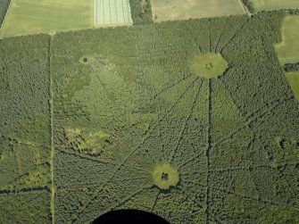 Oblique aerial view of part of the wood, taken from the WNW.