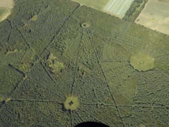 Oblique aerial view of part of the wood, taken from the SSW.