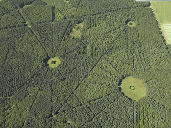 Oblique aerial view of part of the wood, taken from the S.