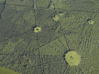 Oblique aerial view of part of the wood, taken from the SE.