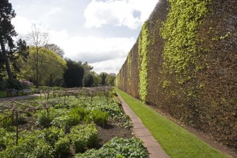 Demonstration gardens. Beech hedge from south west