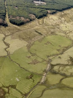 Oblique aerial view centred on the remains of rig and furrow cultivation, taken from the NE.