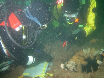View of two divers from the Sound of Mull Archaeological Project surveying the wreck of the S.S. Thesis.