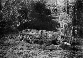 Photograph of recumbent stone at Tillyfourie, taken from NNE.
Titled: "Whitehill Wood, Monymusk. Recumbent Stone and Flanker".