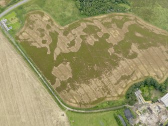Oblique aerial view of the cropmarks of the pit defined avenue and cursus and the barrow at Kirkmabreck, taken from the WSW.