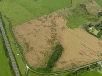 Oblique aerial view of the cropmarks of the field boundary, possible souterrain and palisaded settlement, taken from the SSE.