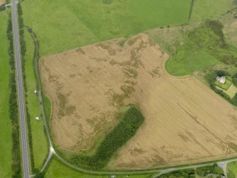 Oblique aerial view of the cropmarks of the field boundary, possible souterrain and palisaded settlement, taken from the SE.