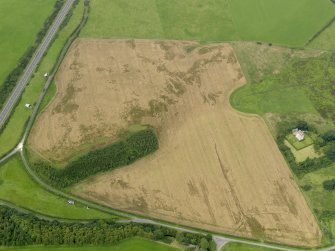 Oblique aerial view of the cropmarks of the field boundary, possible souterrain and palisaded settlement, taken from the ESE.