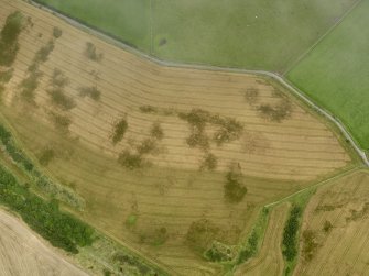Oblique aerial view of the cropmarks of the round house and pits, taken from the SW.
