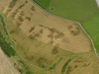 Oblique aerial view of the cropmarks of the round house and pits, taken from the SSW.