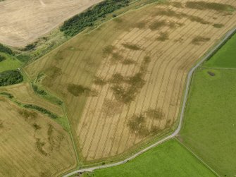 Oblique aerial view of the cropmarks of the round house and pits, taken from the SE.