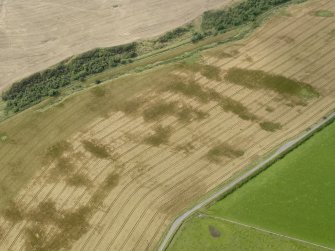 Oblique aerial view of the cropmarks of the round house and pits, taken from the E.