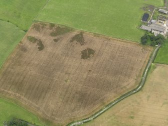 Oblique aerial view of the cropmarks of the possible round house and the field boundary, taken from the ENE.