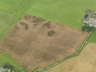 Oblique aerial view of the cropmarks of the possible round house and the field boundary, taken from the NE.