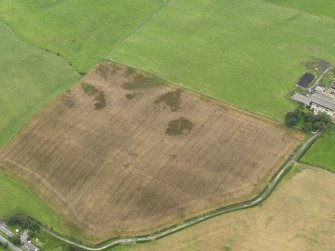 Oblique aerial view of the cropmarks of the possible round house and the field boundary, taken from the NNE.
