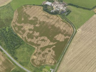 Oblique aerial view of the cropmarks of the pit defined avenue and cursus and the barrow at Kirkmabreck, taken from the NNW.
