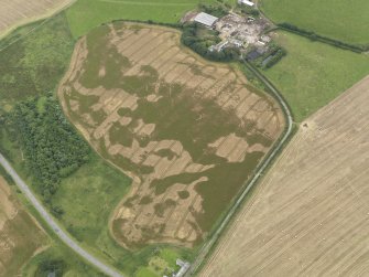 Oblique aerial view of the cropmarks of the pit defined avenue and cursus and the barrow at Kirkmabreck, taken from the N.