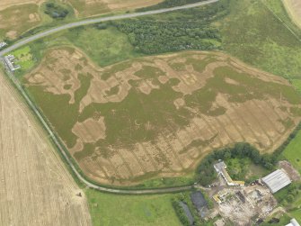 Oblique aerial view of the cropmarks of the pit defined avenue and cursus and the barrow at Kirkmabreck, taken from the WSW.