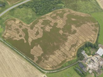 Oblique aerial view of the cropmarks of the pit defined avenue and cursus and the barrow at Kirkmabreck, taken from the W.