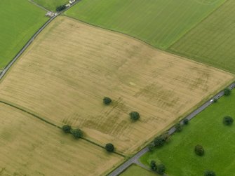 Oblique aerial view centred on the cropmarks of the rig and furrow and pits, taken from the NNW.