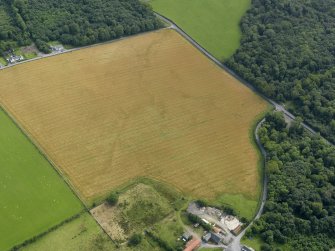 Oblique aerial view centred on the cropmarks of the barrow at Dry Bridge, Islay, taken from the WNW.
