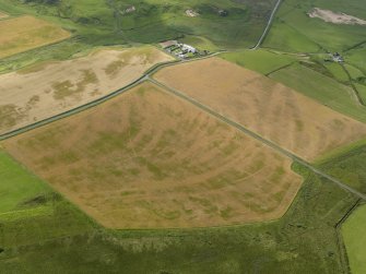 Oblique aerial view of the cropmarks of the trackway, possible enclosure and pits, taken from the NNE.