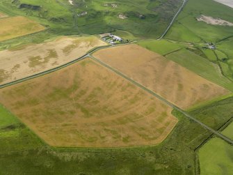 Oblique aerial view of the cropmarks of the trackway, possible enclosure and pits, taken from the NNE.