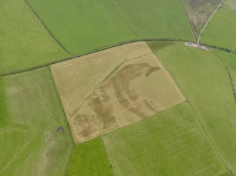 Oblique aerial view centred on the cropmarks of the round house and souterrain at Dhurrie, taken from the SW.