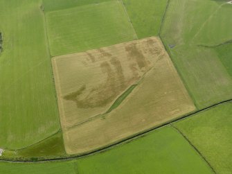 Oblique aerial view centred on the cropmarks of the round house and souterrain at Dhurrie, taken from the NE.