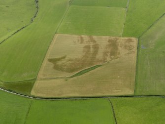 Oblique aerial view centred on the cropmarks of the round house and souterrain at Dhurrie, taken from the NNE.